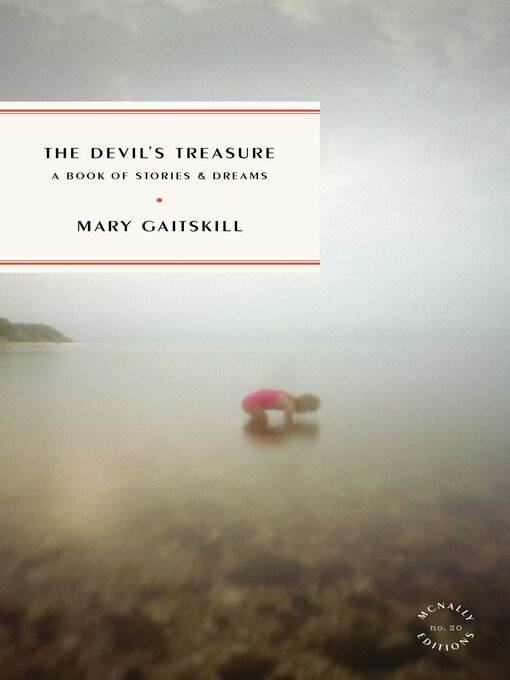 Title details for The Devil's Treasure by Mary Gaitskill - Available